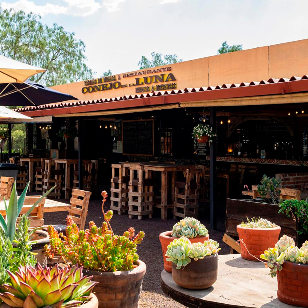 Mezcaleria Conejo en la Luna 
