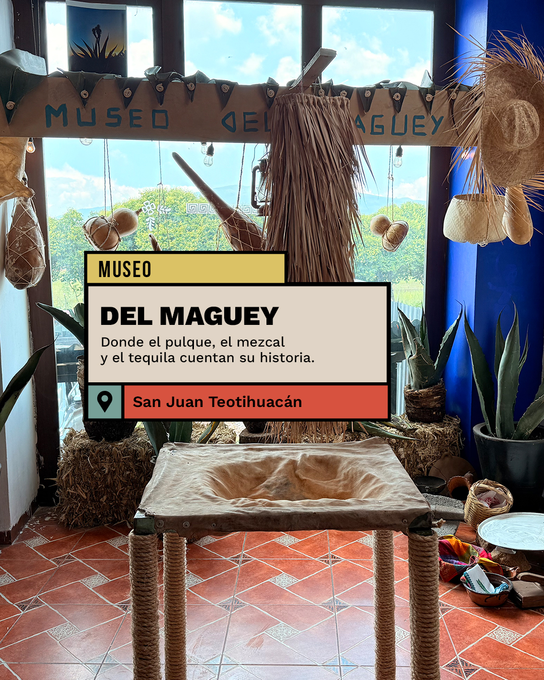 Museo del Maguey